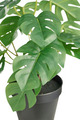 Kunstig monstera plante i potte H32 cm indendørs - DAY